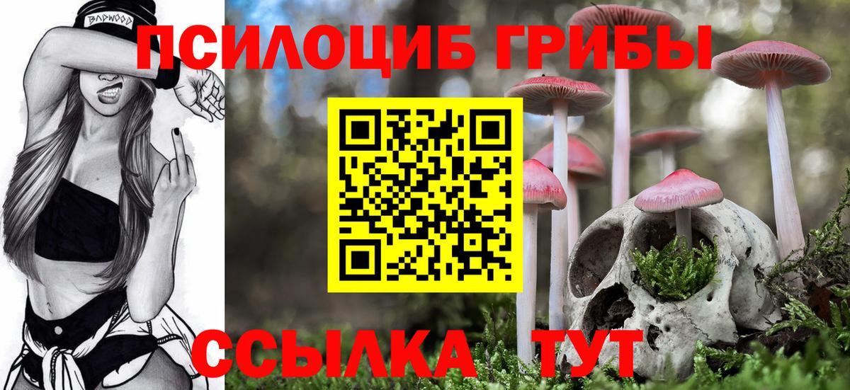 Галлюциногенные грибы Psilocybe Ликино-Дулёво