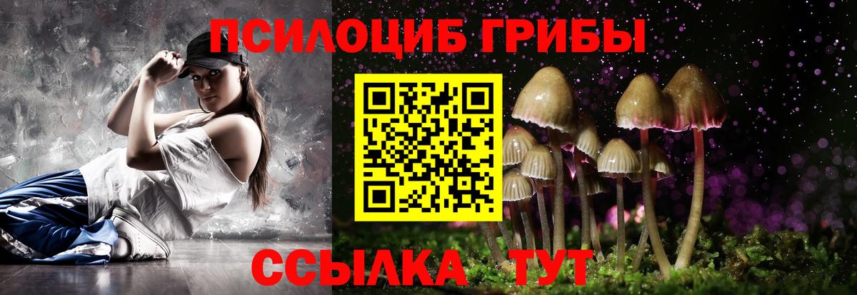 Псилоцибиновые грибы GOLDEN TEACHER  Галлюциногенные грибы Cubensis  Вход с VPN  Ликино-Дулёво 